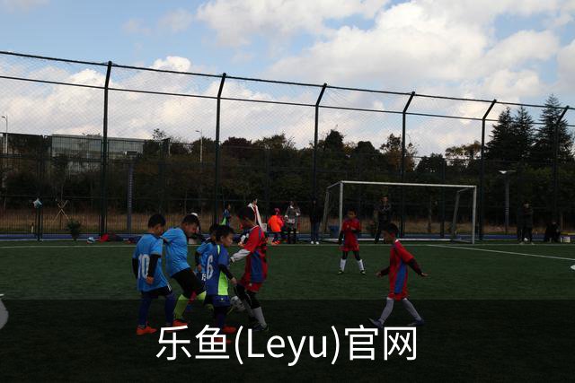 关于乐鱼(Leyu)官网